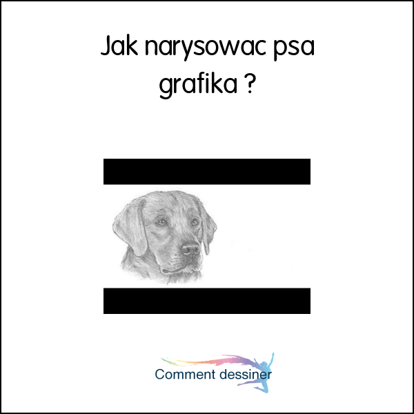 Jak narysować psa grafika